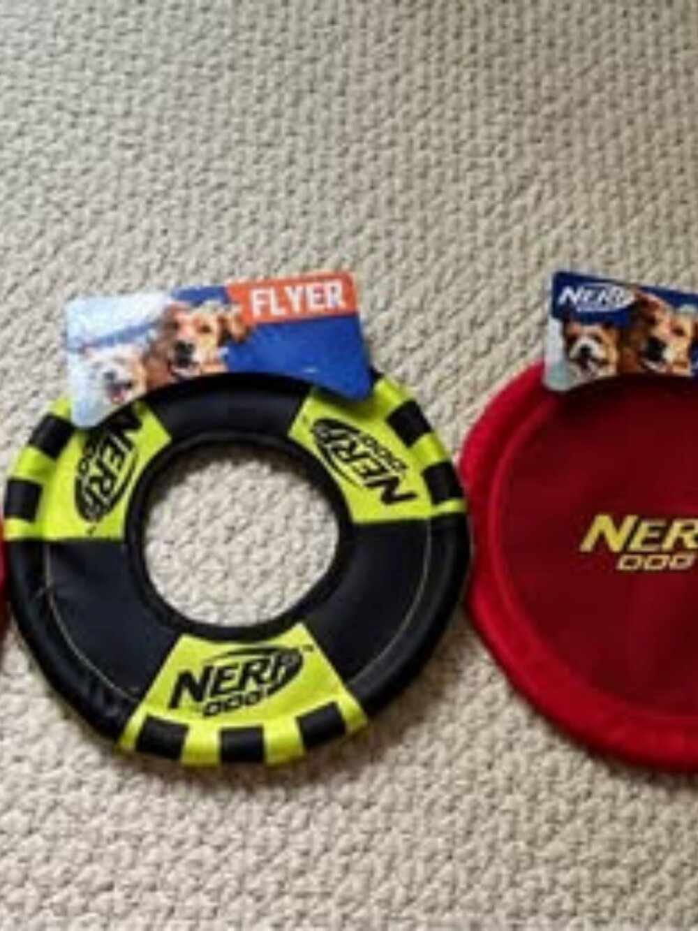 NERF dog flyer toy